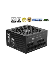 MSI MPG A1000GS