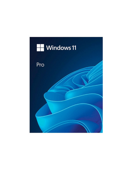 Windows 11 Pro 64Bit USB