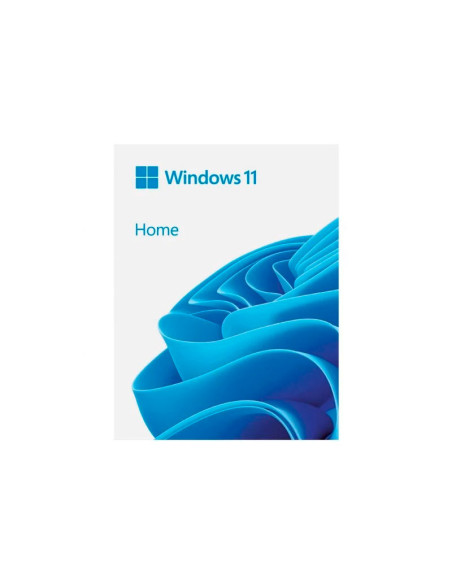 Windows 11 Home 64Bit USB